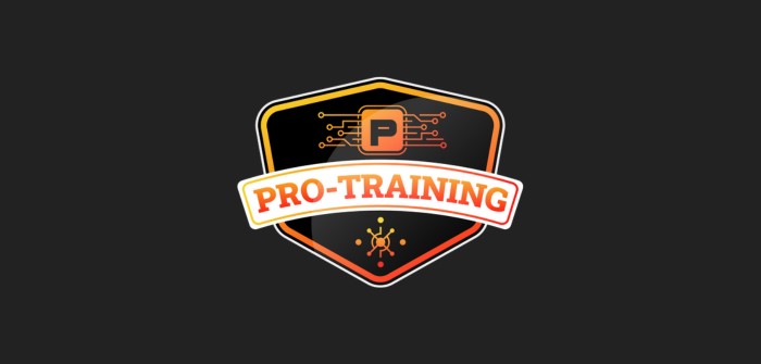 Vert Plume Webmarketing, freelance marketing digital et freelance webmarketing : prestations conseil stratégique, Google Ads search, Social Ads, Content management, Réseaux sociaux, marketing automation, email nurturing, lead magnet, webinaire pour Pro Training