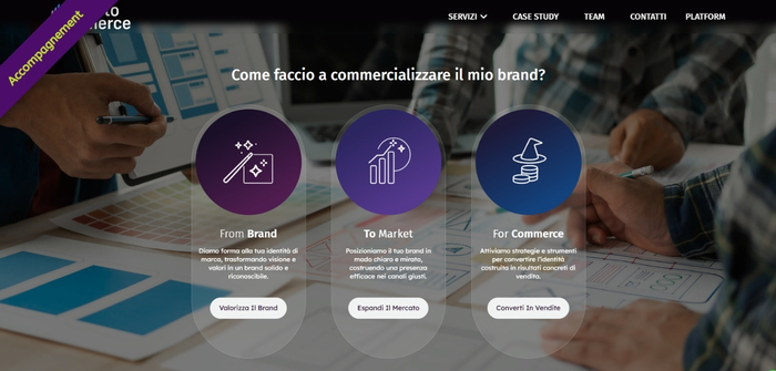 Vert Plume Webmarketing, freelance marketing digital et freelance webmarketing : prestations UX, SEO, Google Ads, Meta Ads et campagnes Amazon pour les clients de l'agence