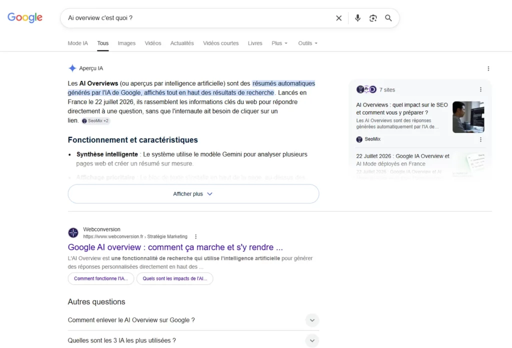 Article AI Overview impact sur le SEO : illustration d'une requête - Blog Vert Plume Webmarketing, consultante marketing digital