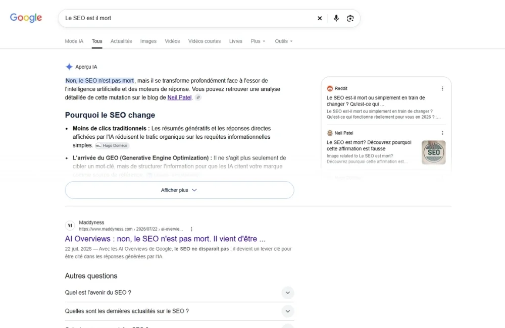 Article IA Overview fin du SEO ? Illustration IA Google - Vert Plume Webmarketing - GEO, AIO